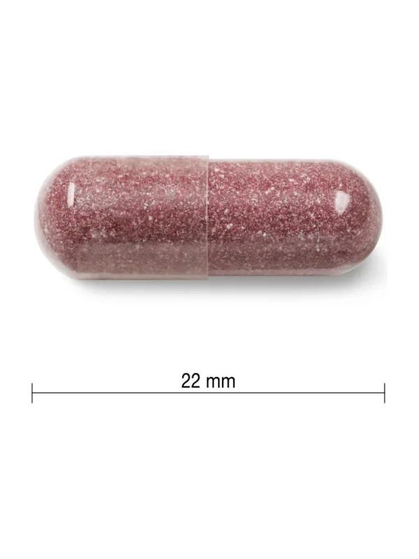 Jamieson brusnica – izgled kapsule