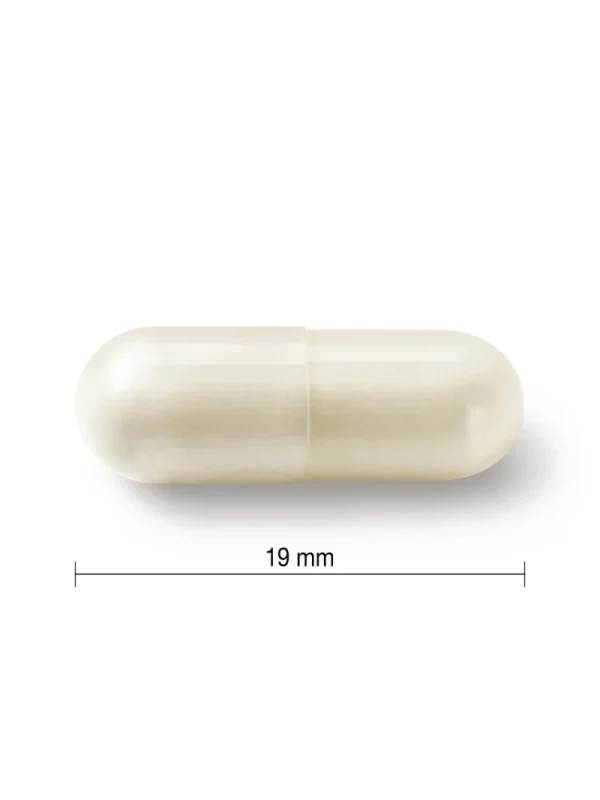 Jamieson probiotik za zene - prikaz kapsule Jamieson probiotik za žene – prikaz vegetarijanske kapsule